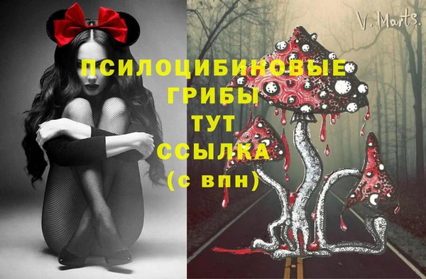ALPHA PVP Краснотурьинск