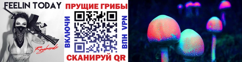 Купить  Невельск  Галлюциногенные грибы прущие грибы 